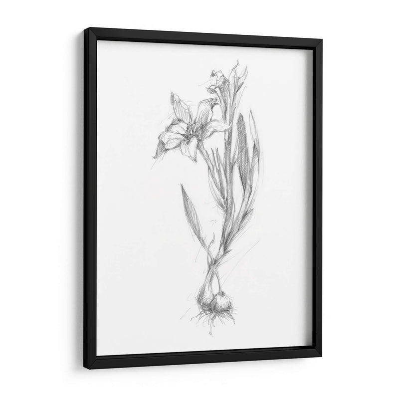 Boceto Botánico I - Ethan Harper | Cuadro decorativo de Canvas Lab