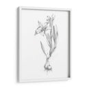 Boceto Botánico I - Ethan Harper | Cuadro decorativo de Canvas Lab
