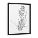 Bosquejo Botánico Vi - Ethan Harper | Cuadro decorativo de Canvas Lab