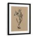 Bosquejo Botánico Blanco Y Negro I - Ethan Harper | Cuadro decorativo de Canvas Lab