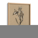 Bosquejo Botánico Blanco Y Negro I - Ethan Harper | Cuadro decorativo de Canvas Lab