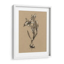 Bosquejo Botánico Blanco Y Negro I - Ethan Harper | Cuadro decorativo de Canvas Lab