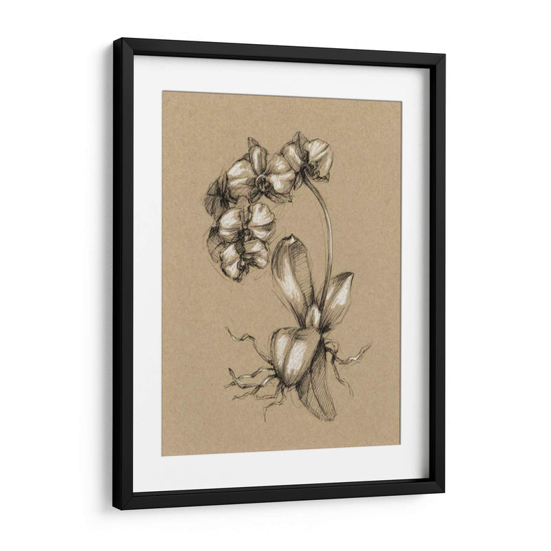 Boceto Botánico Blanco Y Negro V - Ethan Harper | Cuadro decorativo de Canvas Lab