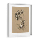 Boceto Botánico Blanco Y Negro V - Ethan Harper | Cuadro decorativo de Canvas Lab