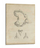 Estudio De Tiburones Ii - Ethan Harper | Cuadro decorativo de Canvas Lab