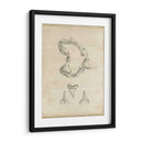 Estudio De Tiburones Ii - Ethan Harper | Cuadro decorativo de Canvas Lab