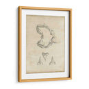 Estudio De Tiburones Ii - Ethan Harper | Cuadro decorativo de Canvas Lab