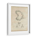 Estudio De Tiburones Ii - Ethan Harper | Cuadro decorativo de Canvas Lab