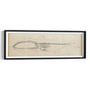 Estudio De Ballena I - Ethan Harper | Cuadro decorativo de Canvas Lab