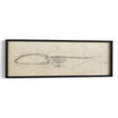 Estudio De Ballena I - Ethan Harper | Cuadro decorativo de Canvas Lab