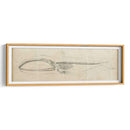 Estudio De Ballena I - Ethan Harper | Cuadro decorativo de Canvas Lab