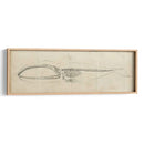 Estudio De Ballena I - Ethan Harper | Cuadro decorativo de Canvas Lab