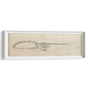 Estudio De Ballena I - Ethan Harper | Cuadro decorativo de Canvas Lab