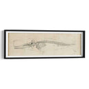 Estudio De Ballenas Ii - Ethan Harper | Cuadro decorativo de Canvas Lab