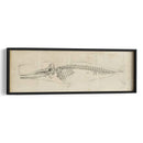 Estudio De Ballenas Ii - Ethan Harper | Cuadro decorativo de Canvas Lab