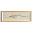 Estudio De Ballenas Ii - Ethan Harper | Cuadro decorativo de Canvas Lab