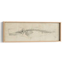 Estudio De Ballenas Ii - Ethan Harper | Cuadro decorativo de Canvas Lab