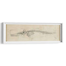 Estudio De Ballenas Ii - Ethan Harper | Cuadro decorativo de Canvas Lab