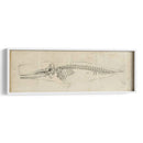 Estudio De Ballenas Ii - Ethan Harper | Cuadro decorativo de Canvas Lab