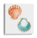 Conchas De Acuarela I - Megan Meagher | Cuadro decorativo de Canvas Lab
