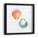 Conchas De Acuarela I - Megan Meagher | Cuadro decorativo de Canvas Lab