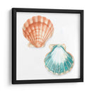 Conchas De Acuarela I - Megan Meagher | Cuadro decorativo de Canvas Lab