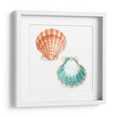 Conchas De Acuarela I - Megan Meagher | Cuadro decorativo de Canvas Lab