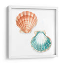 Conchas De Acuarela I - Megan Meagher | Cuadro decorativo de Canvas Lab