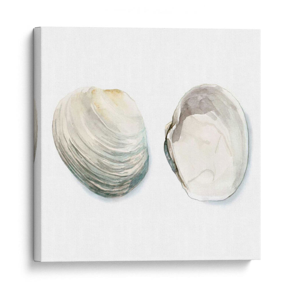 Cáscaras De Acuarela Ii - Megan Meagher | Cuadro decorativo de Canvas Lab