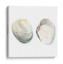 Cáscaras De Acuarela Ii - Megan Meagher | Cuadro decorativo de Canvas Lab