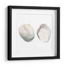 Cáscaras De Acuarela Ii - Megan Meagher | Cuadro decorativo de Canvas Lab