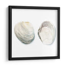 Cáscaras De Acuarela Ii - Megan Meagher | Cuadro decorativo de Canvas Lab