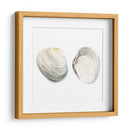 Cáscaras De Acuarela Ii - Megan Meagher | Cuadro decorativo de Canvas Lab