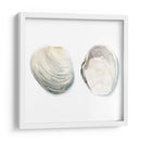 Cáscaras De Acuarela Ii - Megan Meagher | Cuadro decorativo de Canvas Lab