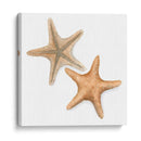 Cáscaras De Acuarela Iii - Megan Meagher | Cuadro decorativo de Canvas Lab