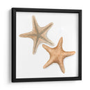 Cáscaras De Acuarela Iii - Megan Meagher | Cuadro decorativo de Canvas Lab