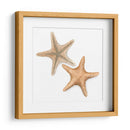 Cáscaras De Acuarela Iii - Megan Meagher | Cuadro decorativo de Canvas Lab