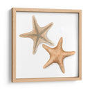 Cáscaras De Acuarela Iii - Megan Meagher | Cuadro decorativo de Canvas Lab