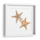 Cáscaras De Acuarela Iii - Megan Meagher | Cuadro decorativo de Canvas Lab