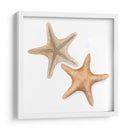 Cáscaras De Acuarela Iii - Megan Meagher | Cuadro decorativo de Canvas Lab