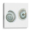 Cáscaras De Acuarela Iv - Megan Meagher | Cuadro decorativo de Canvas Lab