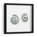 Cáscaras De Acuarela Iv - Megan Meagher | Cuadro decorativo de Canvas Lab