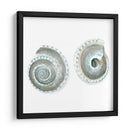 Cáscaras De Acuarela Iv - Megan Meagher | Cuadro decorativo de Canvas Lab