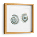 Cáscaras De Acuarela Iv - Megan Meagher | Cuadro decorativo de Canvas Lab