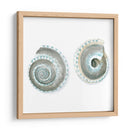 Cáscaras De Acuarela Iv - Megan Meagher | Cuadro decorativo de Canvas Lab