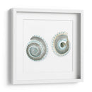 Cáscaras De Acuarela Iv - Megan Meagher | Cuadro decorativo de Canvas Lab