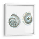 Cáscaras De Acuarela Iv - Megan Meagher | Cuadro decorativo de Canvas Lab