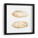 Cáscaras De Acuarela V - Megan Meagher | Cuadro decorativo de Canvas Lab