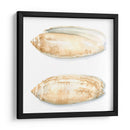 Cáscaras De Acuarela V - Megan Meagher | Cuadro decorativo de Canvas Lab