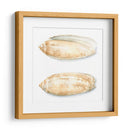 Cáscaras De Acuarela V - Megan Meagher | Cuadro decorativo de Canvas Lab